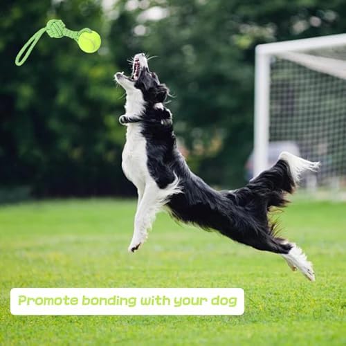 Dog Rope Toy Tug Outdoor Puppy Interactive Dog Toy 1 Knot with Tennis Ball