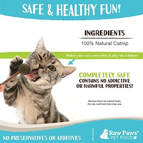 Raw Paws Catnip & Silvervine Lollipops Interactive Cat Toy 6 Pack - Sticks