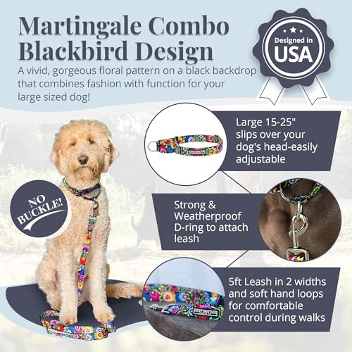 Lucky Love Dog Martingale Collar & Leash Set No Slip – Blackbird, Large