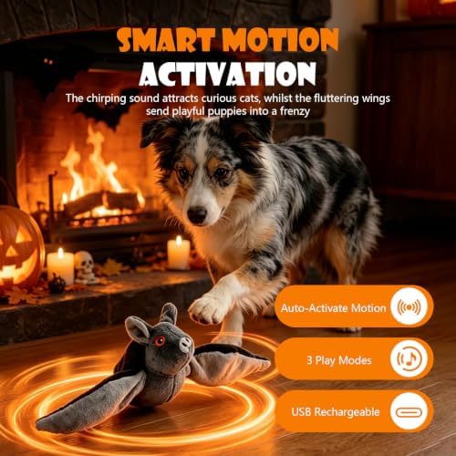 Flying Bat for Dogs, Interactive Flap Wing Bat, Realistic Bat Flight