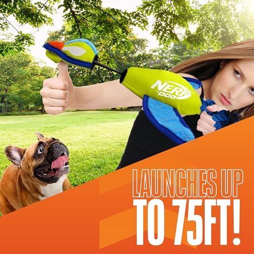 Nerf Dog 16.5in Nylon Ultraplush Crinkle Wing Launching Duck Dog Toy - Green/Light Blue