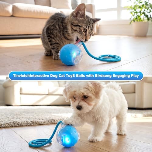 ZUAMEGUPetToy, Interactive Cat & Dog Ball Toy with Bird Sounds, Rechargeable 360° Smart Auto-Rolling Electric Pet Ball Toy (with Leash), Suitable for Indoor & Outdoor Use (Blue)