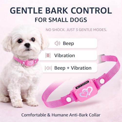 Bark Collar for Small Dogs 5-15 lbs with Magnetic Charging – No Shock, 3 Beep & Vibration Modes, 5 Sensitivity Levels - Humane Stop Anti-Barking Device - Dog Training Bark Collar (Candy Pink)