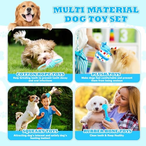 RoundFunny 11 Pcs Dog Birthday Toy Gift for Dog Birthday Cake Puppy Girl Boy Squeak Toys Interactive Puppy Gift with Box for Small Medium Size(Classic,Blue)