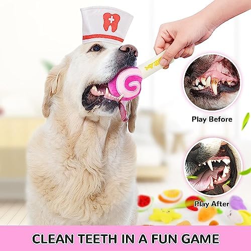 LEGEND SANDY Dog Squeaky Toys, Plush Small Dog Toys for Dogs, Stuffed with Squeakers,14 pcs Puppy Toys with a Carrying Bag for Small Medium Size | 14 pcs Puppy Toys with a Carrying Bag for Small Medium Size, Puppy Chew Toys for Teething