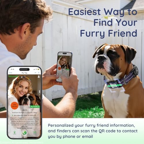 Reflective Dog Collar with Airtag Holder for Small Dogs, Purple | Waterproof Holder, Breathable Nylon Padded, Built-in QR Code Name Tag, Adjustable, Comfort for Walking, Training