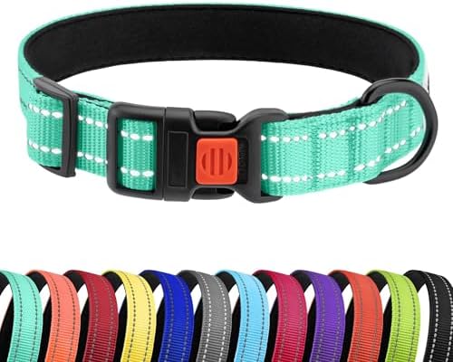 Reflective Dog Collar, Quick-Release Buckle (Mint Green, 18-26 Inch)