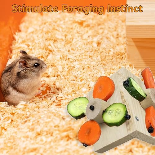 Mouse Rat Enrichment Toys, Rat Foraging Toy, Rat Toys for Pet Rats in Cage, Guinea Pig Treats Feeder, Food Dispenser for Rodents Mouse Syrian Hamster Gerbil Bunny, Puzzle Accessories (S, Wood)