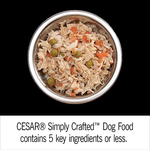 Cesar Simply Crafted Dog Food Toppers, Chicken Variety, 1.3 oz, 24 Count | Real chicken #1 ingredient, slow-cooked, no by-products or artificial flavors, mix with food or serve solo, single-serve tubs