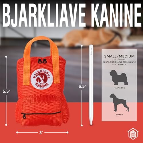Bjarkliave Kanine – Luxurious Parody Plush Dog Toy with Squeaker, Durable Fabric, Embroidered Details, Designer-Inspired Chew Toy, Fun Gift for Medium Dogs & Trendy Dog Lovers