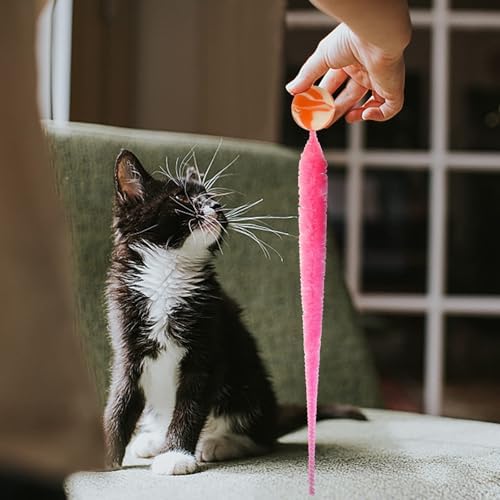 Bouncy Ball with Tail Cat Toys,5 Packs Magic Worm with Large Colorful Ball Toy for Cats,Fuzzy Worm Bouncy Balls Cat Toy