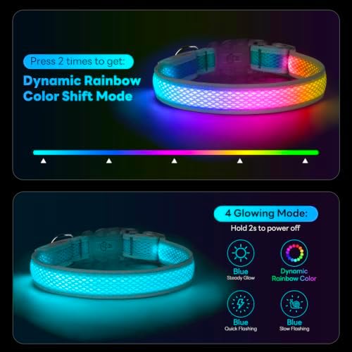 Multicolor LED Dog Collar USB-C Rechargeable, Light Up Dog Collar, Rainbow Gradient Glowing Dog Collar with 4 Light Modes, Adjustable Candy Mesh Pet Collar(Blue, Medium)