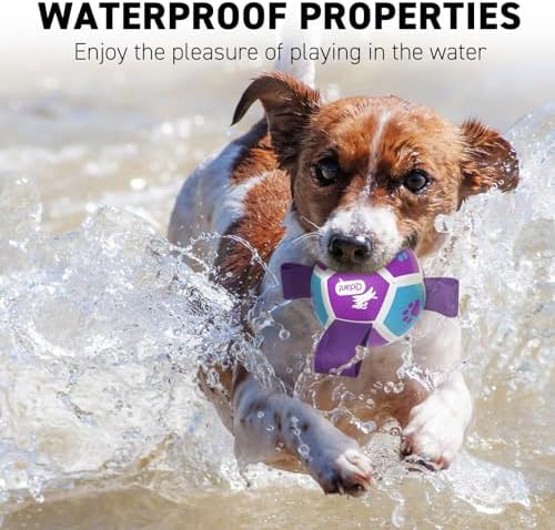 QDAN Small Dog Toys, Puppy Balls, Dog Balls with Straps for Small Breed | 3.5 Inch Small Soccer Ball for Dogs, Puppy Toys for 3-15 lbs Dogs, Dog Birthday Gift, Herding Ball for Small Dogs, Purple