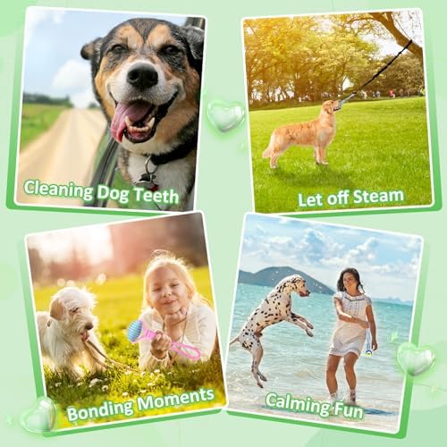 Hiboom 6 Pcs Interactive Dog Tug of War Toy Set Hanging from Tree and 4 Chew Ropes Teething Rope for Teeth Cleaning Dog Bungee Toy for Small/Medium Dogs with Aggressive Chewing Habit, Dogs Supplies