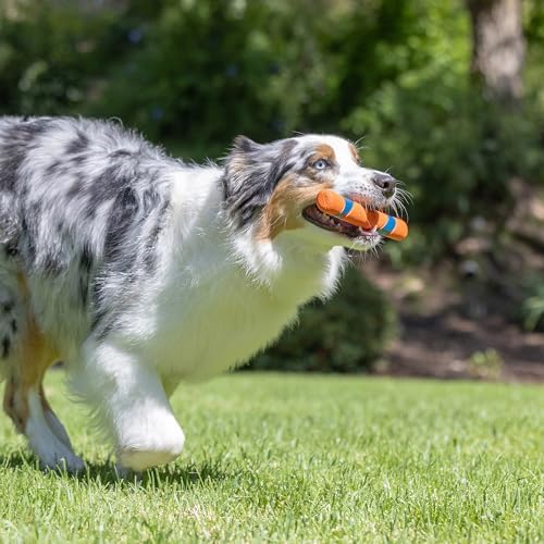 Chuckit! Ultra Fetch Stick Interactive Dog Toy, 12in, 2 Pack