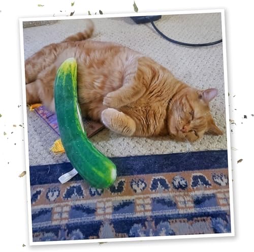 Meowijuana Get Kickin' Toy & Catnip Bundle | Refillable Plush + Blend