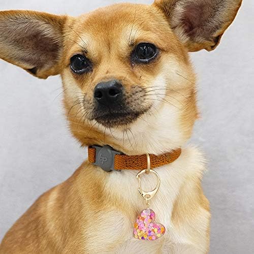 Blueberry Pet Lovely Accessory Set of Floral Collar Slide Hair Clip and Pedant for Dogs & Cats, Flower Decor and Heart Pendant