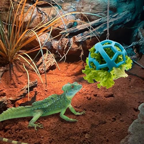 Bearded Dragon Enrichment Toys Feed Toys Bells Interactive Feeder and Exercise Ball for Lizards, Geckos & Small Reptiles Habitat Terrarium Tank
