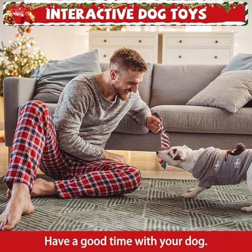 SCENEREAL Christmas Dog Rope Toys, 4pcs Doggy Chew Toys with Stocking for Teething Cleaning, Squeaky Plush Puppy Toy, Interactive Dog Stocking Stuffers, Xmas Gifts for Small Medium Large Dogs
