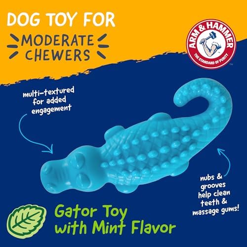 Arm & Hammer Nubbies Gator Dog Dental Chew Toy, Mint Flavor