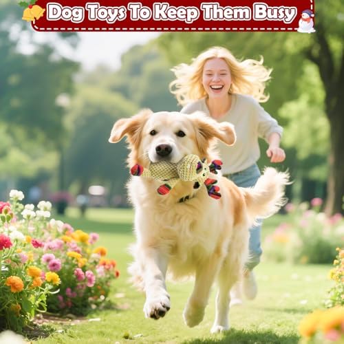 Christmas Dog Toy Squeaky Interactive Dog Toys Indoor Outdoor Play