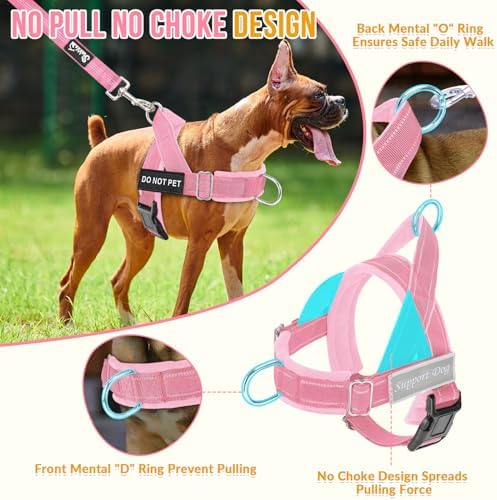Lukovee No Pull Dog Harness and Leash Set, Soft Padded for Large Medium Dog