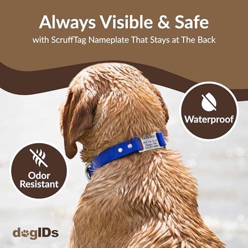 dogIDs Personalized Dog Collar – ScruffTag Custom Waterproof Biothane Dog Collar with Laser-Engraved Name, Durable & Odor-Resistant – USA Made | Sage, 1 in x 16 in (Fits Neck Sizes 14-18 in)