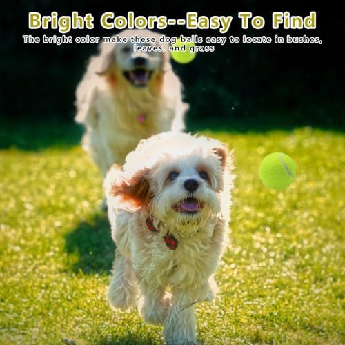 Magicorange Small Tennis Balls, 12 Pack 2 inch Tennis Balls for Dogs