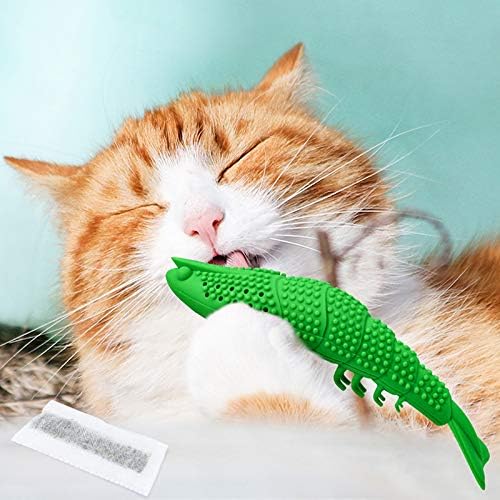 Smokey's Stash Cat Toy Interactive Catnip Dental chew cat Toothbrush refillable with Bell and Extra Catnip