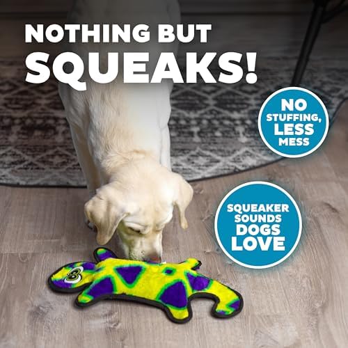 Outward Hound Durablez Tough Chew Plush Squeaky Dog Toy, Gecko, 17.5"