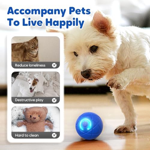 Interactive Small Dog Toy Ball, Smart Jumping Ball for Puppy Dogs, Activated Automatic Bouncing Moving Vibrating (Blue)