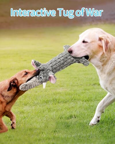 Dog Toys, Squeaky Plush No Stuffing Crinkle Dog Toy for Small Medium Large Dogs, Interactive Puppy Teething Water Bottle Dog Chew Toy (3 Pack)
