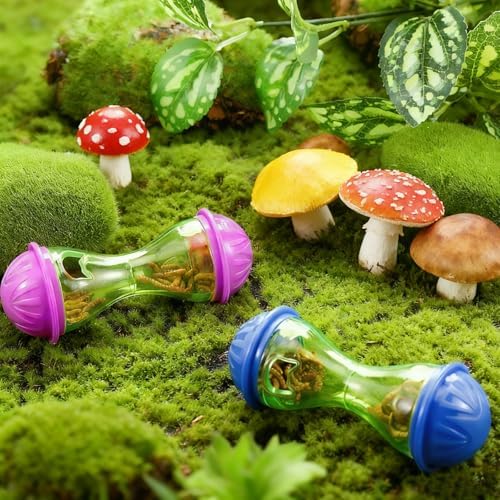 7 pcs Breaded Dragon Toys Set, Lizard Feed Balls Enrichment Toy Skateboard