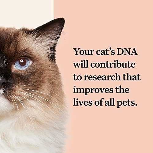 Wisdom Complete Cat DNA Test Panel for Full Health, Properties and Adventures - White