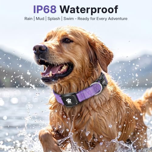 GPS Dog Collar with Tracker, Waterproof, No Monthly Fee, Purple, L | Works with Apple Find My, iOS Only, MFi Certified, No SIM Card, for Large Dogs, Reflective Padded Nylon, Neck 16.5-23.5 in