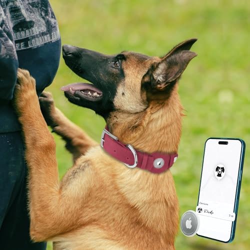 Leather Dog Collar with Airtag Holder - Apple Air Tag Dog Collars - Soft Tracking GPS Pet Collar for Small Medium Large Dogs Breed Puppy (Burgundy, S, 9"-12" Neck Fit)