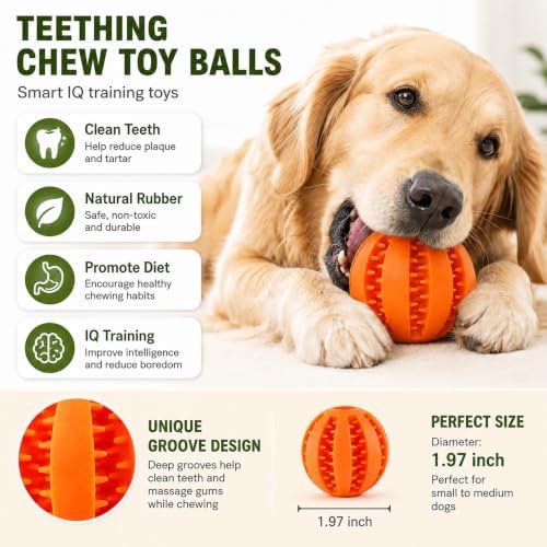 GASHIK Dog Treat Ball for Dogs, Rubber Dental Chew Toy for Dogs