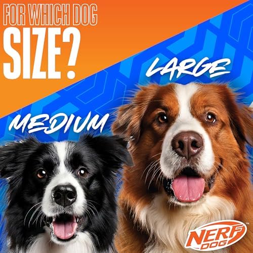 Nerf Dog Rubber Ball Dog Toy with Checkered Squeaker, Lightweight, Durable and Water Resistant, 4 Inch Diameter for Medium/Large Breeds, Single Unit, Blue