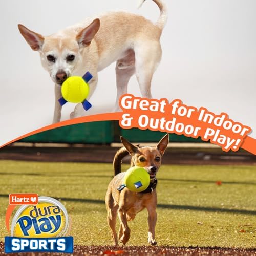 Hartz Dura Play Sports Football Dog Toy, Bacon Scented Squeaky Latex Yellow & Blue Toy, 3 Count