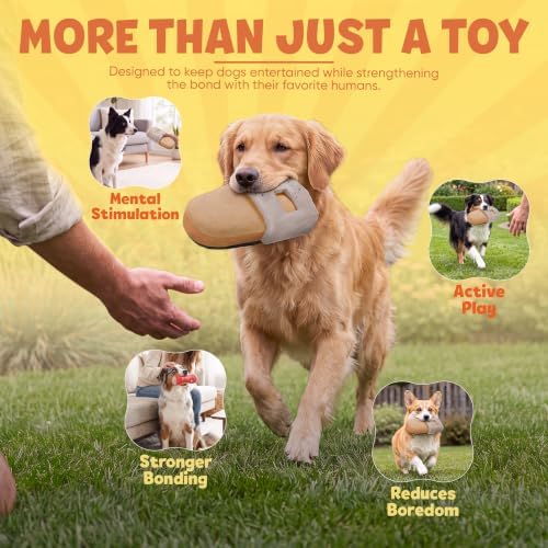 Shoe Parody Dog Toy – Funny Crinkle & Squeaky Dog Toys for Interactive Play and Training – Durable, Easy to Clean, Birthday Gifts for Small, Medium and Large Dogs