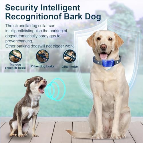 Citronella Dog Bark Collar [2 Pack] 3 Sensitivity Levels, No Spray Refil | Anti Barking Training Collar, IP67 Waterproof, Rechargeable Safer Spray Dog Collar for L/M/S Citronella Dog Collar, Blue