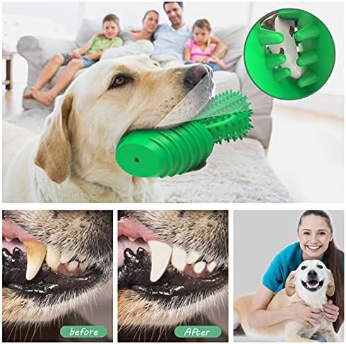 Pamlulu Dog Chew Toys Dog Toothbrush Stick Teeth Cleaning Brush Dental for Medium Large Dog, Puppy Christmas Easter Birthday Gifts, Outdoor Squeaky Toys for Aggressive Chewers Interactive Tough Toys