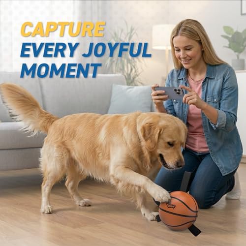 QDAN Dog Basketball Toys, Dog Balls with Straps for Tug of War, 6 Inch | Dog Water Toy Pool Toys for Small Medium Dogs, <60 lbs Puppy Toys, Training Herding Balls for Outdoor, Puppy Birthday Gifts
