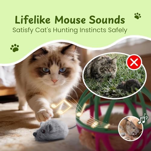 Cat Toys for Indoor Cats - Interactive Ball Cage Cat Toy with Realistic Mice Sounds & 2 Catnip Plush Toys, Motion-Activated Hunting Simulation Toy for Cats