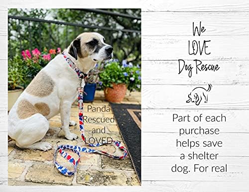 Lucky Love Dog Martingale Collar for Small Dogs Cute – Sweet Berry, Small