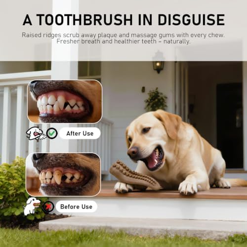 MECOOL 5-Piece Durable Nylon Dog Chew Toys Set – Bacon Flavored Tough Bones for Aggressive Chewers, Long-Lasting Interactive Teething Toy for Medium Large Dogs