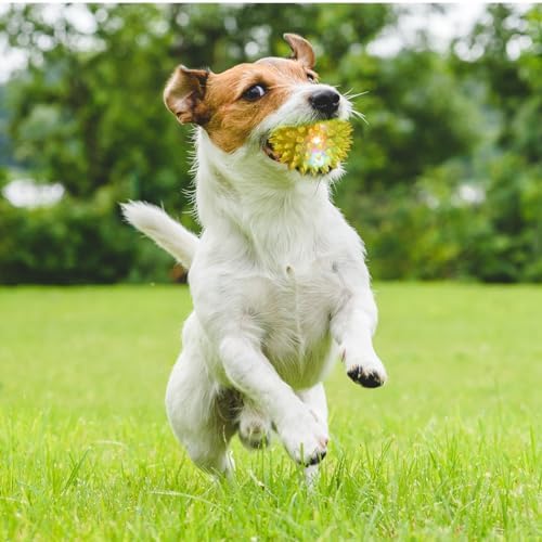 DragonflyDreams 6Pc Spiky LED Dog Chew Toys with Spiky Balls