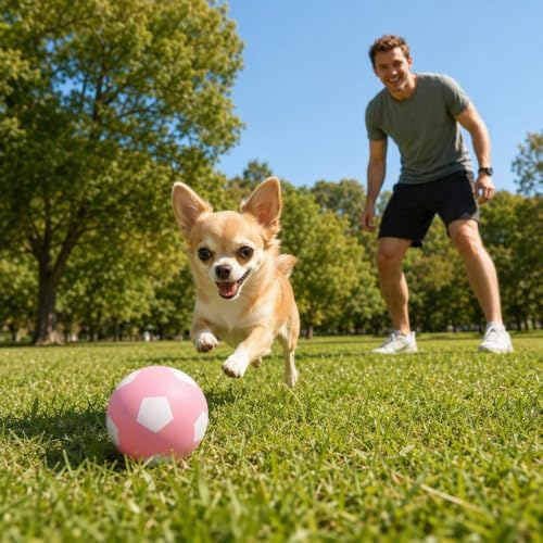 Squeaky Latex Dog Toy Balls for Small Dogs and Mini Breeds