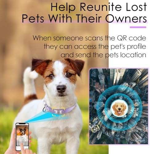 ADVENTUREMORE Smart ID Tag QR Code Nylon Dog Collar - Prevents Small, Medium, Large Dogs from Getting Lost at Night, Displays Owner and Pet Details - Durable, Adjustable, Thick-Purple-L