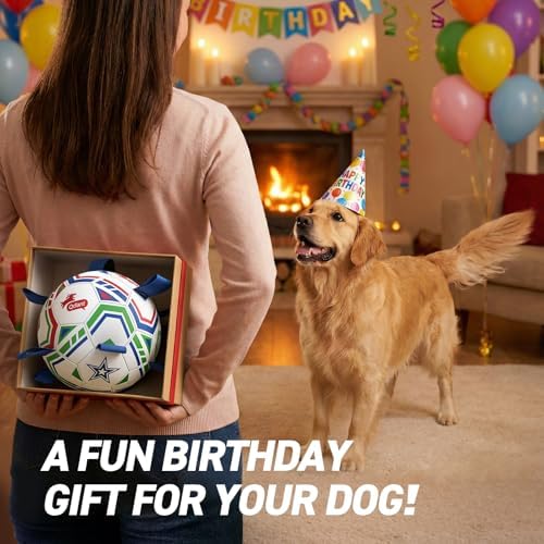 QDAN World Cup Soccer Ball for Dog, Large Herding Ball for 30-90 lbs Dogs